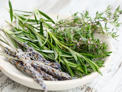 pour l’image phyto pour l'image phyto